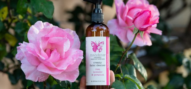 A daily face cleanse – an essential part of your face care routine